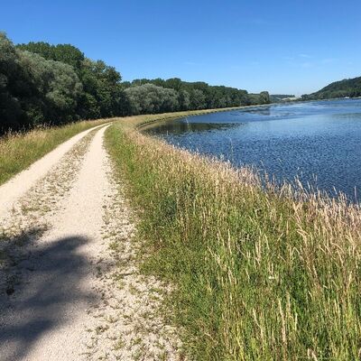 Bild vergr&ouml;&szlig;ern: Leiten, Brennen und D&auml;mme im Projektgebiet: Lebensr&auml;ume f&uuml;r Tier- und Pflanzenarten der Magerrasen