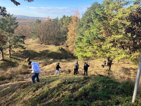 Bild vergr&ouml;&szlig;ern: Freiwilligentag am Joshofener Hang