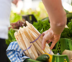 Bild vergr&ouml;&szlig;ern: Spargel aus Schrobenhausen
