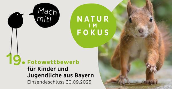 Bild vergr&ouml;&szlig;ern: 19. Fotowettbewerb Natur im Fokus