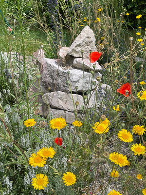 Bild vergr&ouml;&szlig;ern: Naturgarten