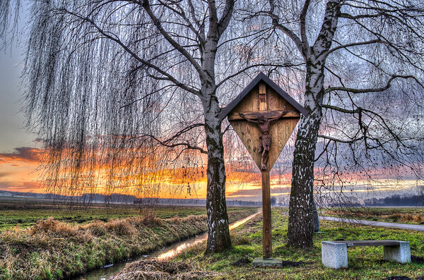 Bild vergr&ouml;&szlig;ern: Birke