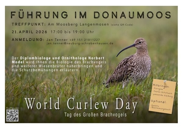 Bild vergr&ouml;&szlig;ern: Plakat F&uuml;hrung im Donaumoos - Worl Curlew Day