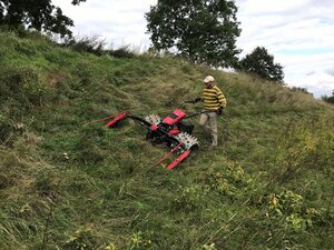 Bild vergr&ouml;&szlig;ern: Landschaftspflege mit Balkenm&auml;her