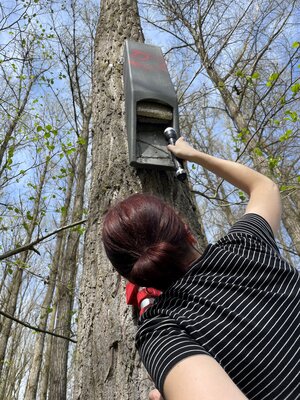 Bild vergr&ouml;&szlig;ern: Fledermauskasten