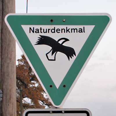 Bild vergrößern: Naturdenkmal Schild