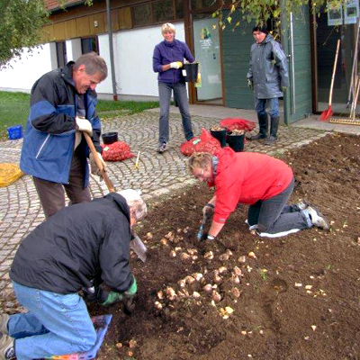 Bild vergrößern: Blumenzwiebel-Pflanzaktion mit Mitgliedern der Gartenbauvereine