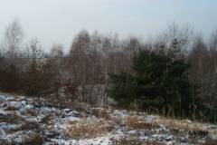 Hennenweidach im Winter